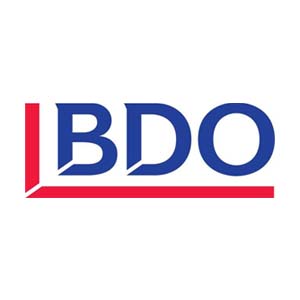 BDO risk advisory