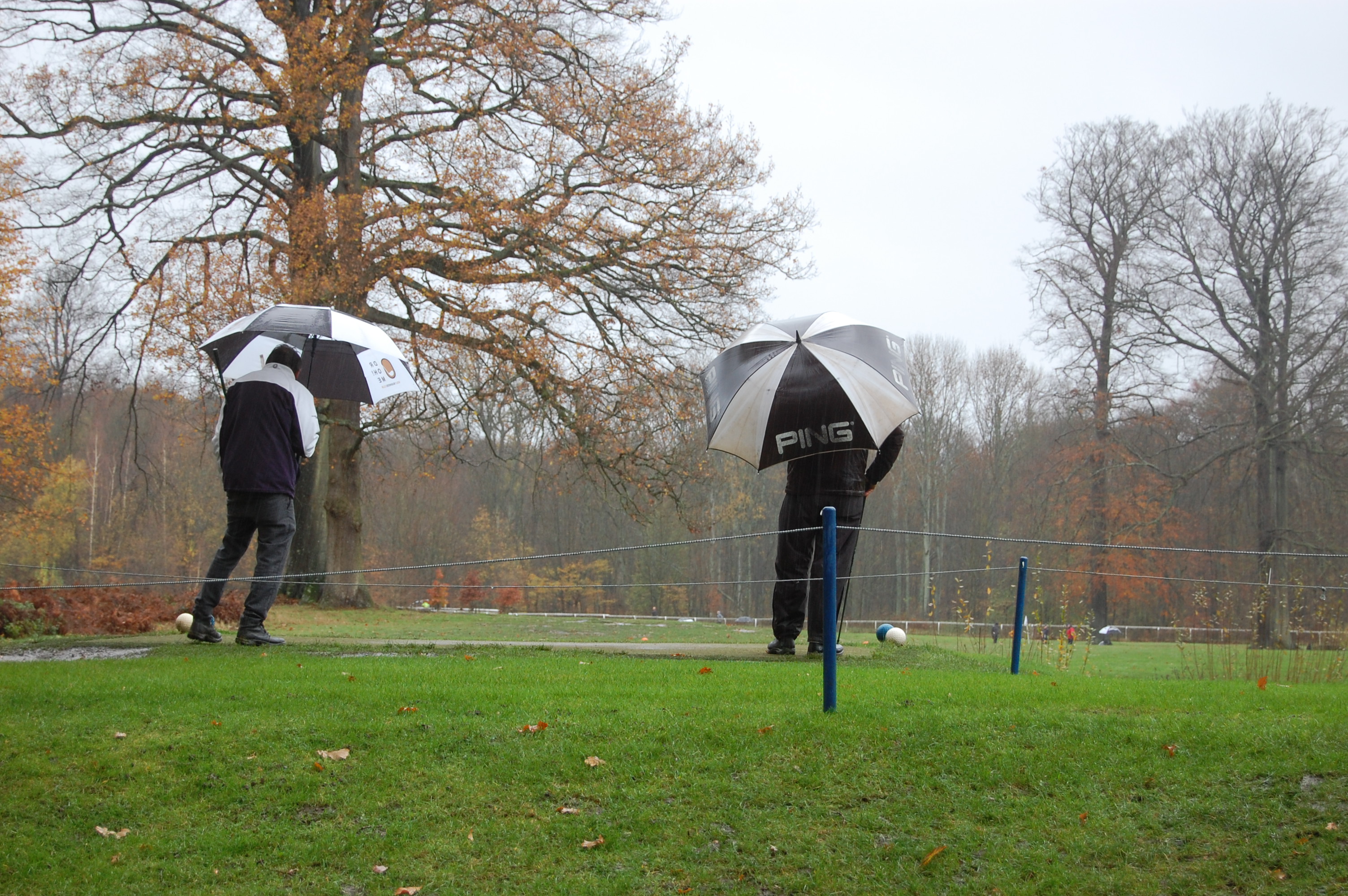 DSC_2906 - BDGC
